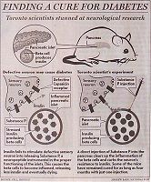 Click to Enlarge Diabetes capsaicin cure mice chili peppers