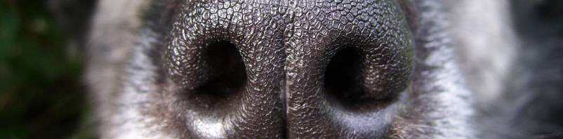 Funny pictures to make you laugh and smile