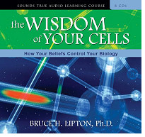 Wisdom of your Cells - Bruce Lipton